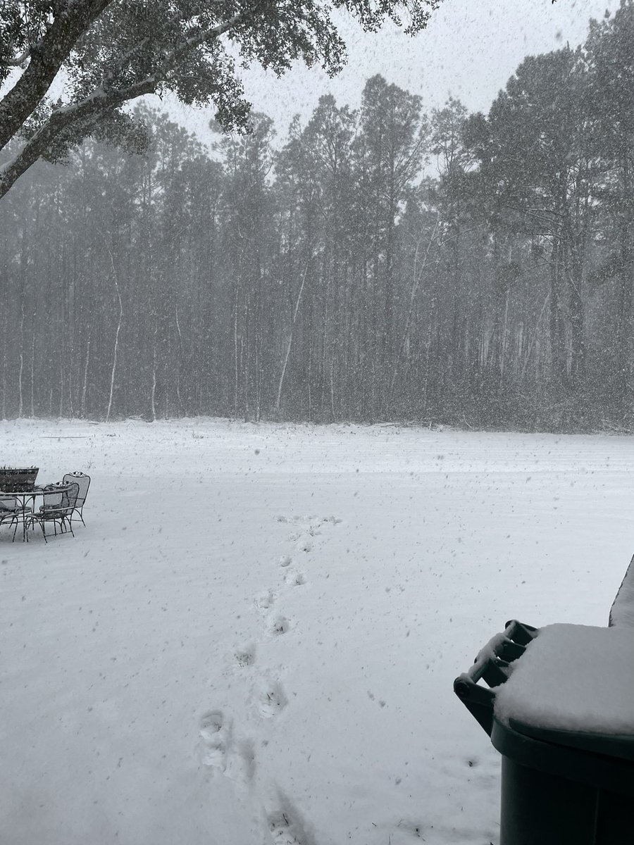 Hunter Stanley tweet media