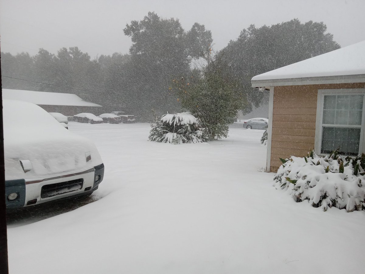 Chilltrill's tweet photo. Can you believe this Florida 😂 https://t.co/dESz6hvKYr
