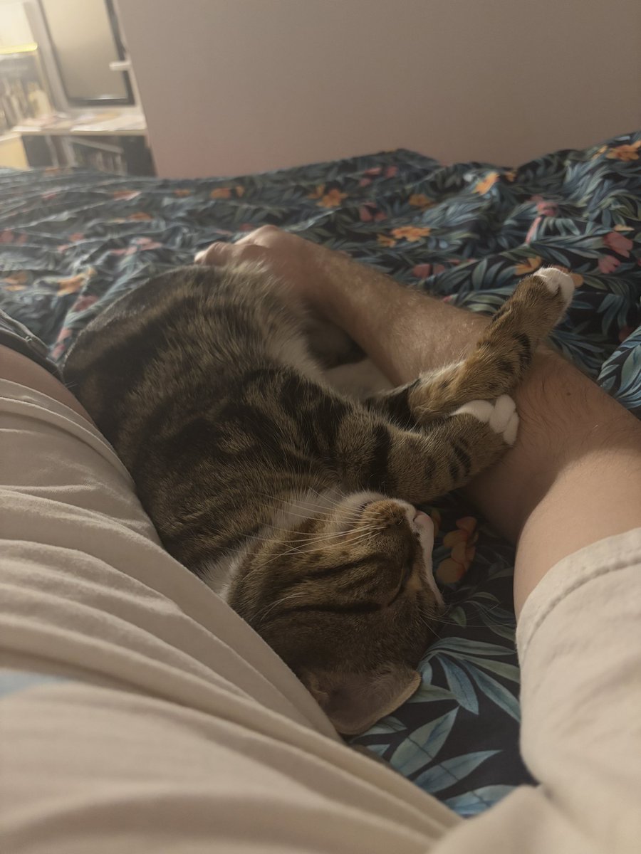 Bright Light Bright Light tweet media