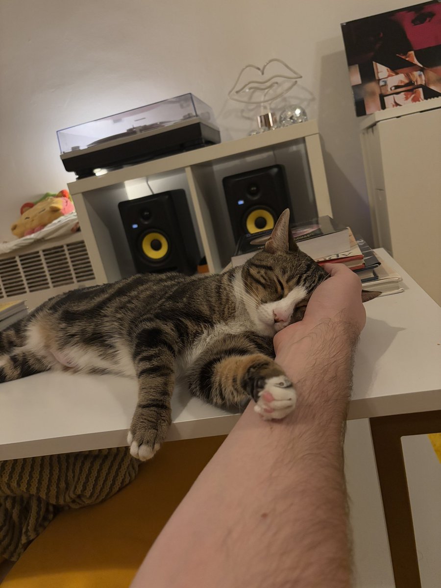 Bright Light Bright Light tweet media