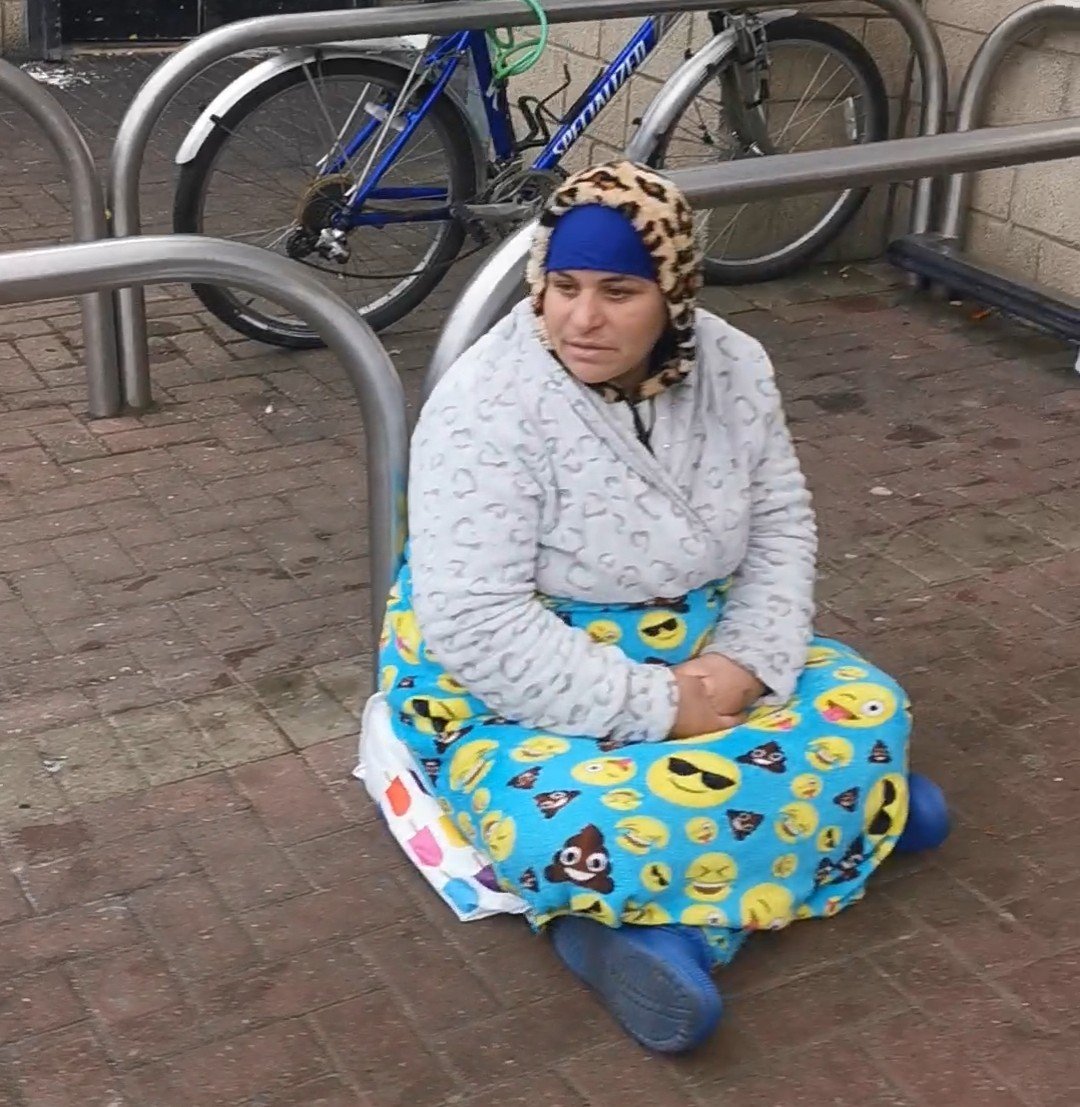Sick to death of these organised gang of beggars hounding people for money at the entrance to <a href="/tesco/">Tesco</a> in Leith .