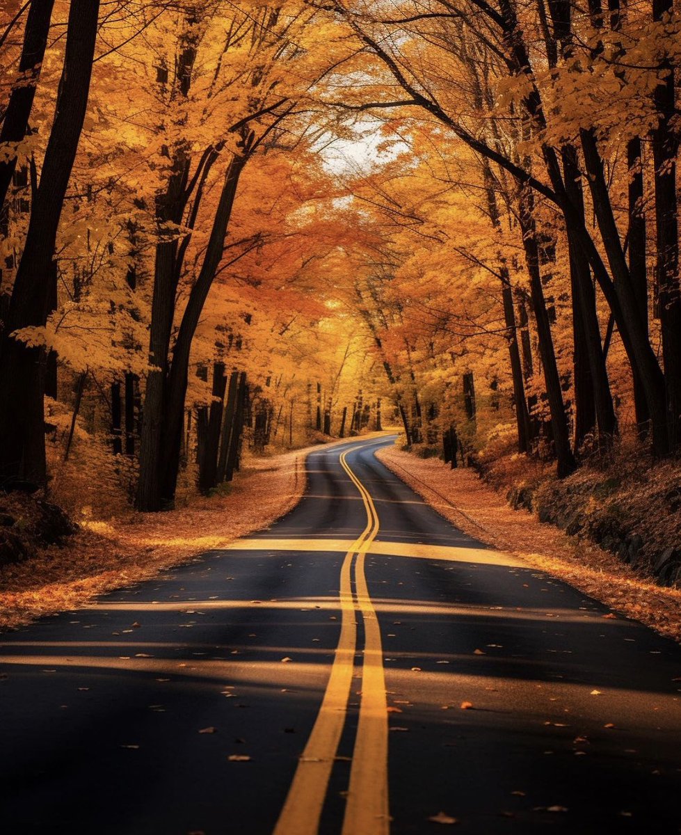 a drive down this road 😍