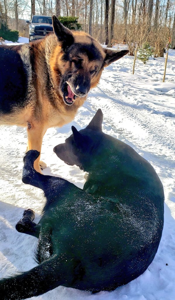 K9Garm's tweet photo. Not sure what hes saying but he pushed her over just prior to this so its some follow-up to whatever conversion that was. https://t.co/0nc3MR0BWS