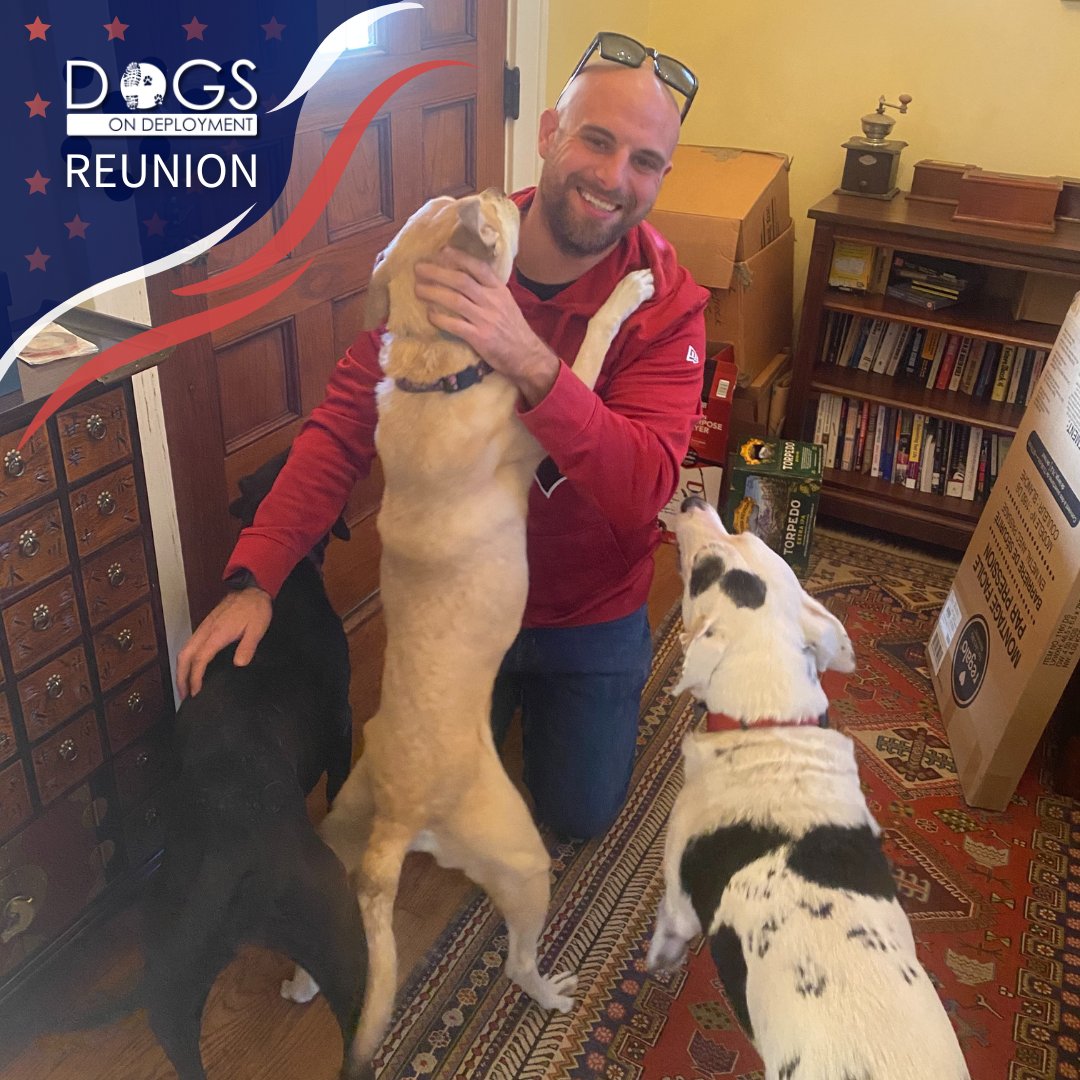 DogsonDeploymnt's tweet photo. Smiles all around! 😁 Reba and Annie are back in their dad's arms. ❤️
📷: Sherri Shadrock, DoD Boarder
#DogsonDeployment #HeroPetBoardingNetwork #fosterpets #DoDBoarder #MilitaryPets #Military #Reunion #SanAntonio #Texas #SanAntonioTexas #MilitaryHomecoming https://t.co/6s9ykqljpo
