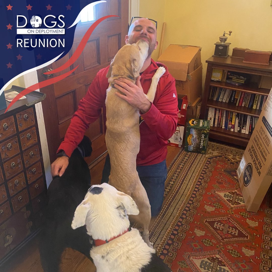 DogsonDeploymnt's tweet photo. Smiles all around! 😁 Reba and Annie are back in their dad's arms. ❤️
📷: Sherri Shadrock, DoD Boarder
#DogsonDeployment #HeroPetBoardingNetwork #fosterpets #DoDBoarder #MilitaryPets #Military #Reunion #SanAntonio #Texas #SanAntonioTexas #MilitaryHomecoming https://t.co/6s9ykqljpo