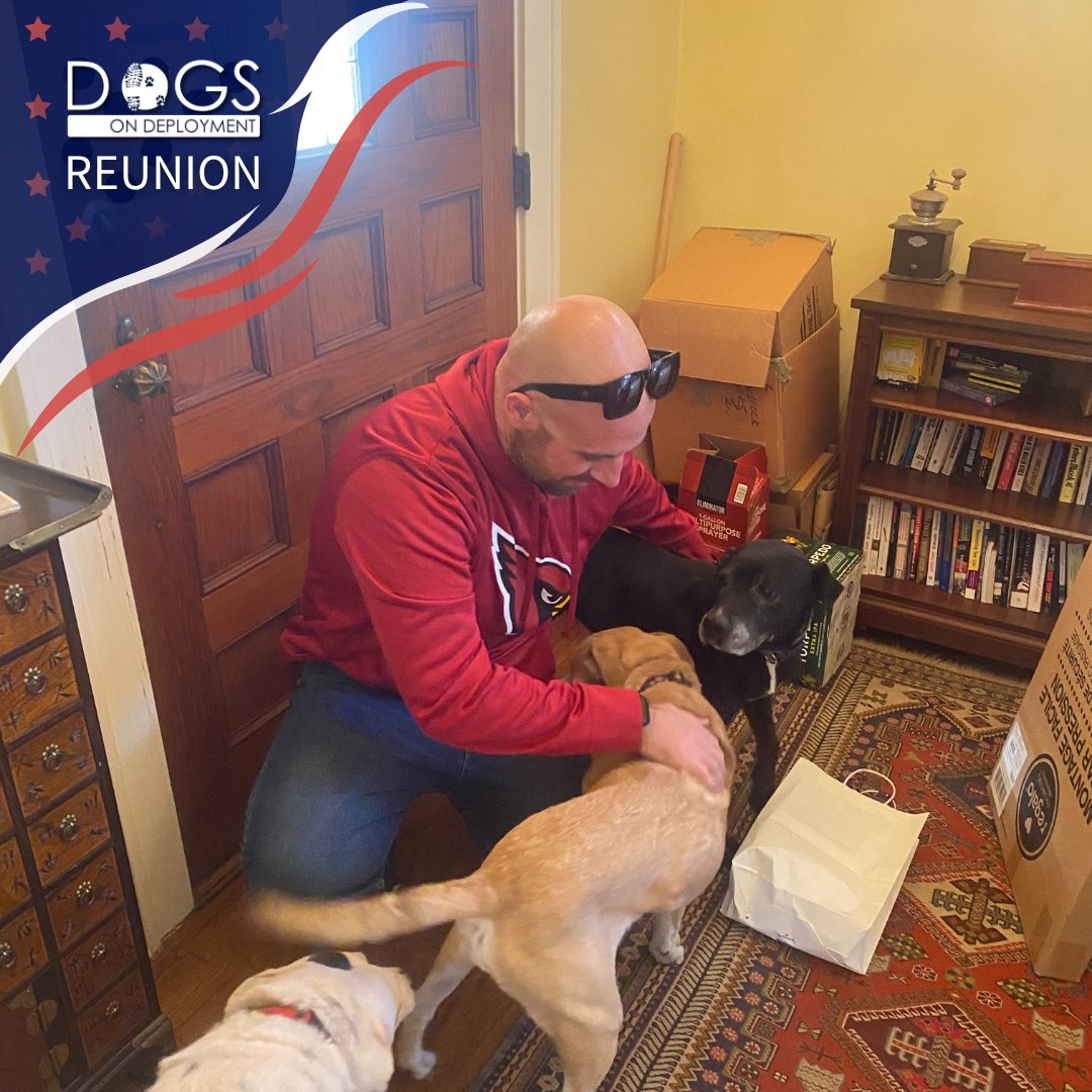 DogsonDeploymnt's tweet photo. Smiles all around! 😁 Reba and Annie are back in their dad's arms. ❤️
📷: Sherri Shadrock, DoD Boarder
#DogsonDeployment #HeroPetBoardingNetwork #fosterpets #DoDBoarder #MilitaryPets #Military #Reunion #SanAntonio #Texas #SanAntonioTexas #MilitaryHomecoming https://t.co/6s9ykqljpo
