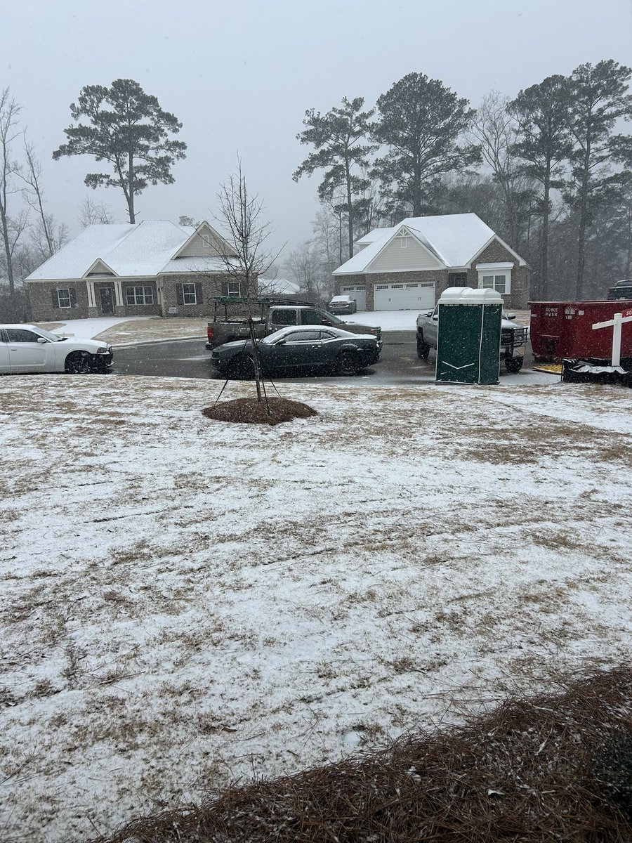 Tilly Freeman tweet media