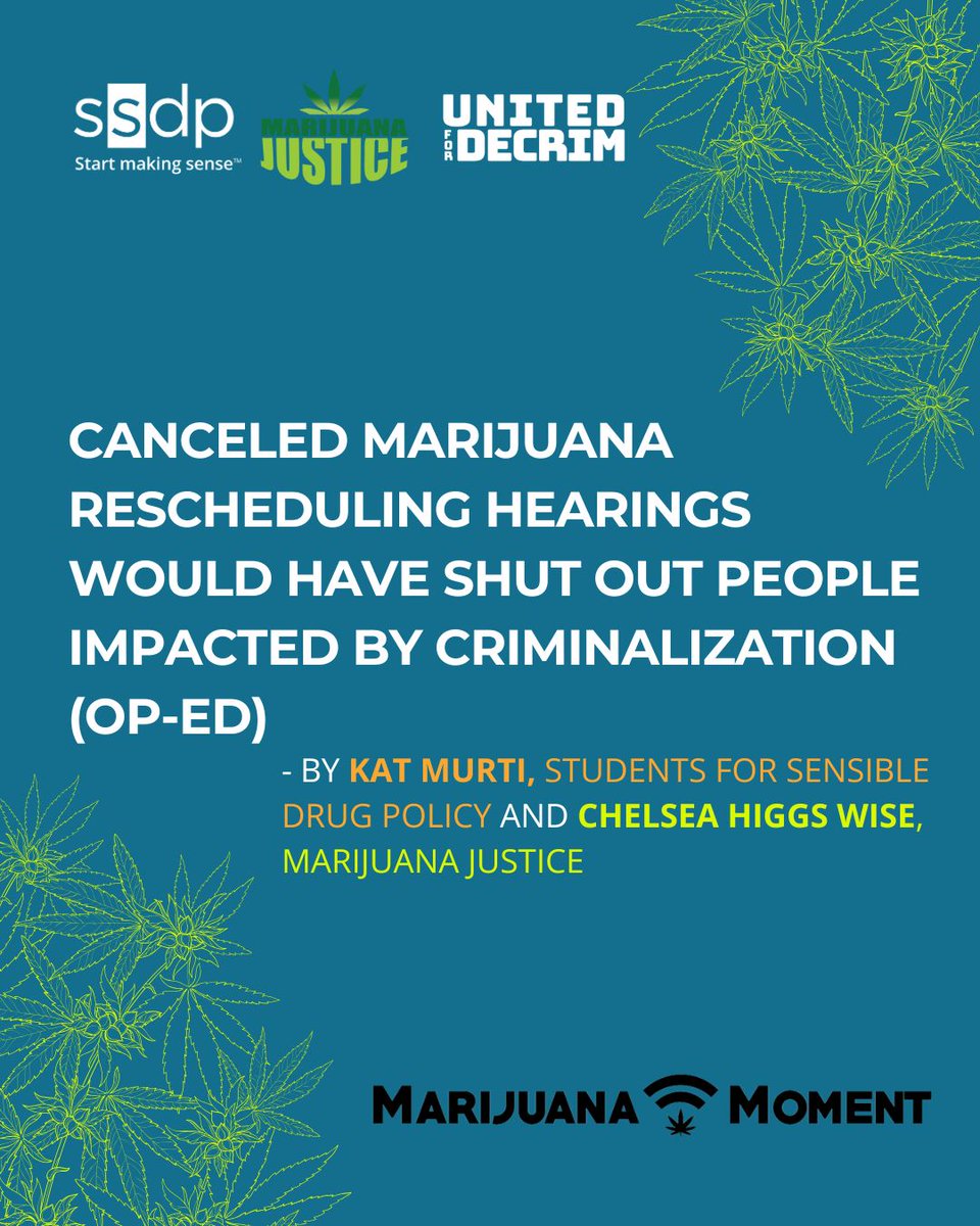 ssdpofficial's tweet image. .@MarijuanaMoment published an op-ed today co-authored by #SSDP&apos;s Executive Director, @KatMurti, and @ChelseaWiseRVA, MSW, the Co-Founder and Executive Director of @thcjusticenow. Read it here: buff.ly/40naCxb #startmakingsense