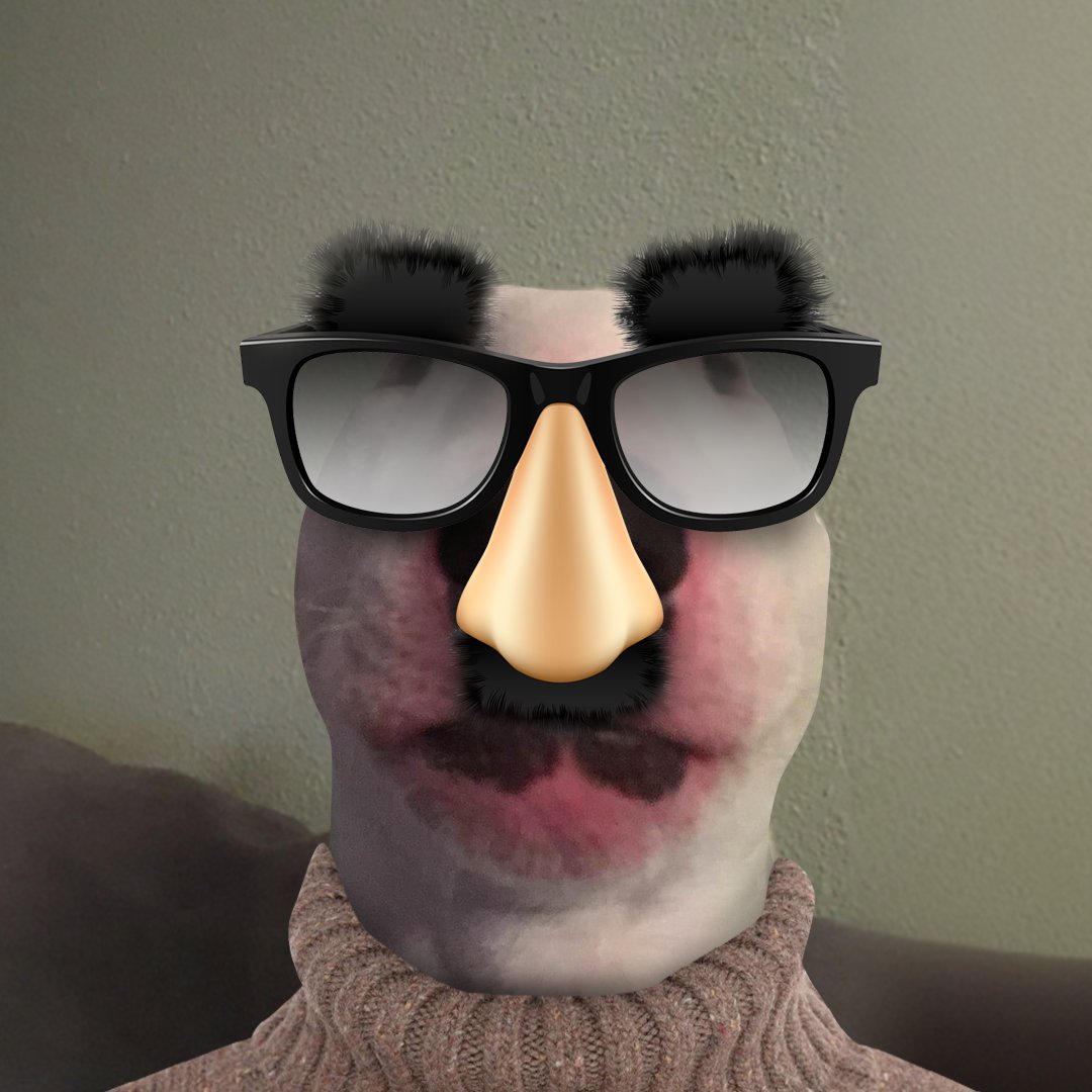 WalterDogs's tweet photo. GROUCHO MARX $WALTER https://t.co/fP5iWAVzDb
