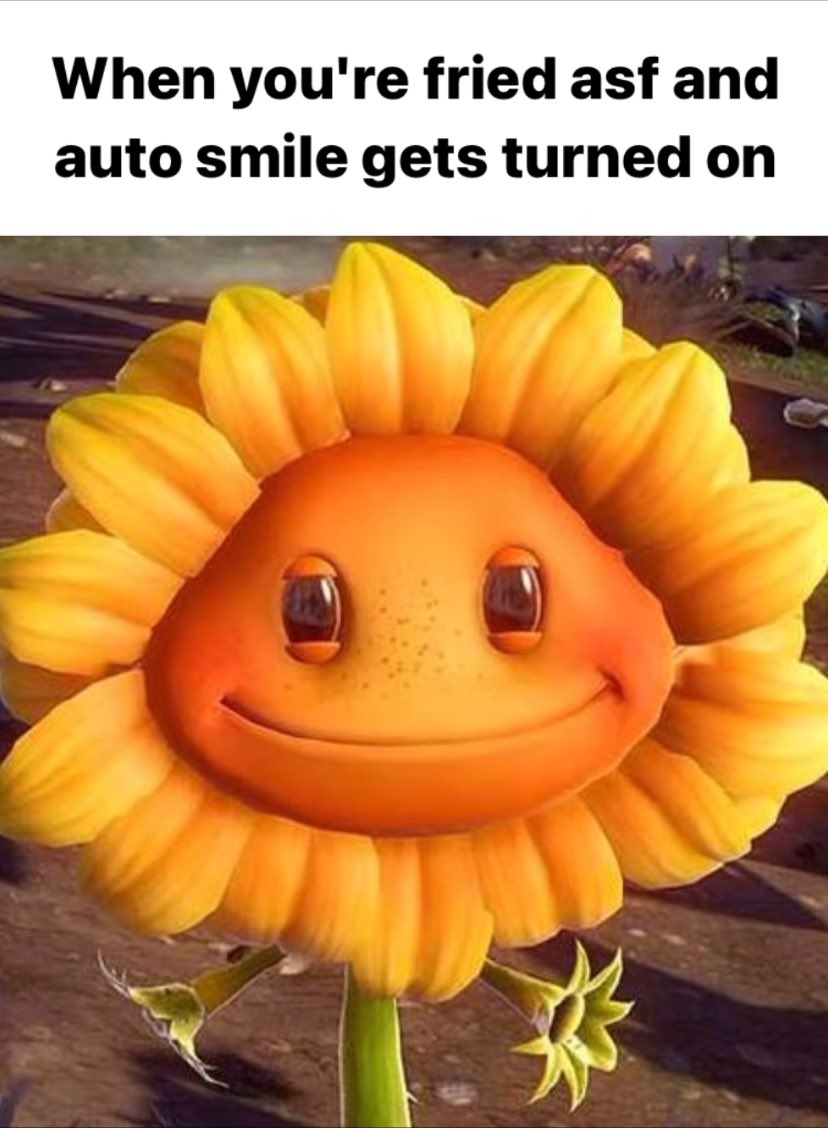 friedsunflowers's tweet photo. This is the reason I smoke weed. https://t.co/3BHg88HAsI