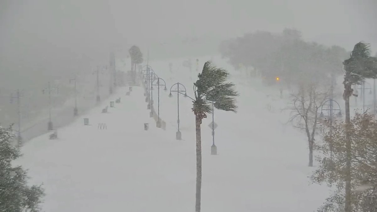 lucky13wxman's tweet photo. 5pm MON 1/21/25
More Deep South snow pics at this hour...
1) New Orleans, LA
2) Auburn University, AL
3) Downtown Atlanta, GA
#snOMG #LouisianaSnow #AlabamaSnow #GeorgiaSnow https://t.co/VorHMAK0y4