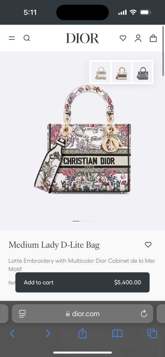 _Geebsus's tweet photo. i am never not thinking about this bag i can promise you that https://t.co/nViiqA2j98