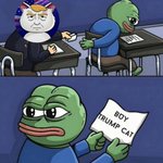 Photo by Trump Cat Family (@TrumpCatFamily)