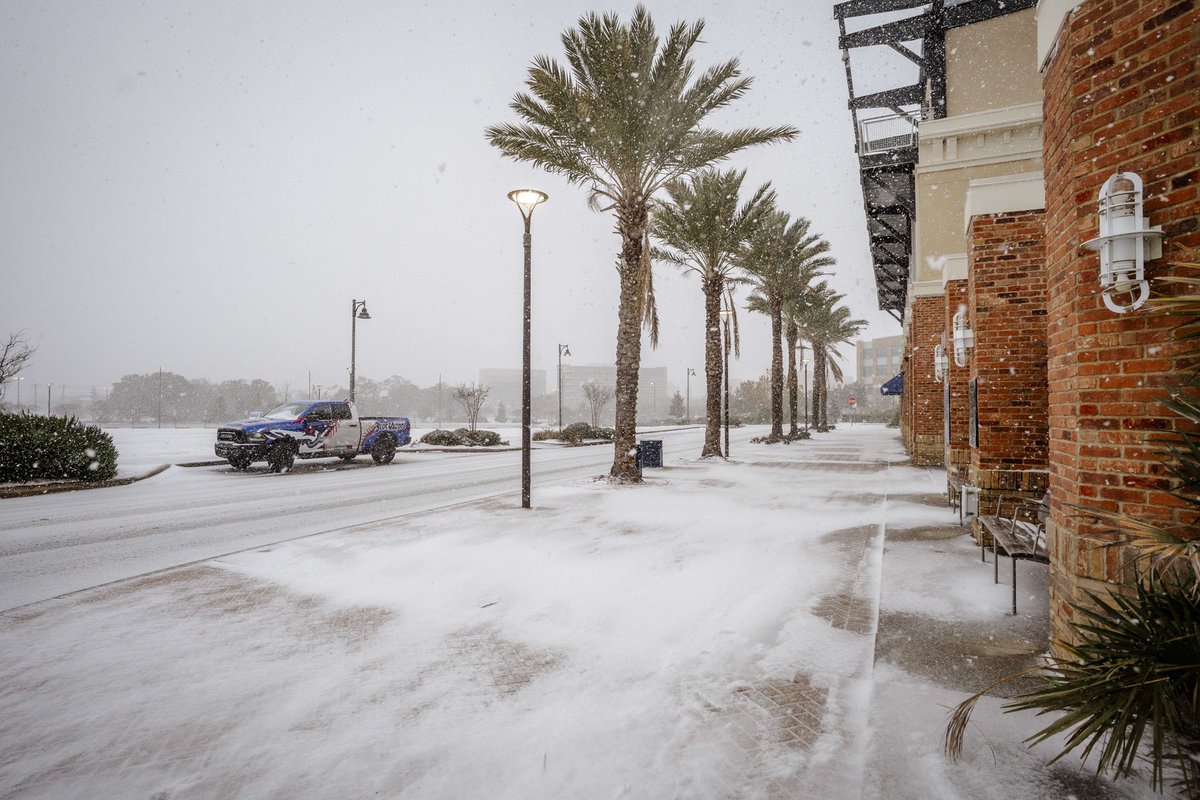 Pensacola Blue Wahoos tweet media