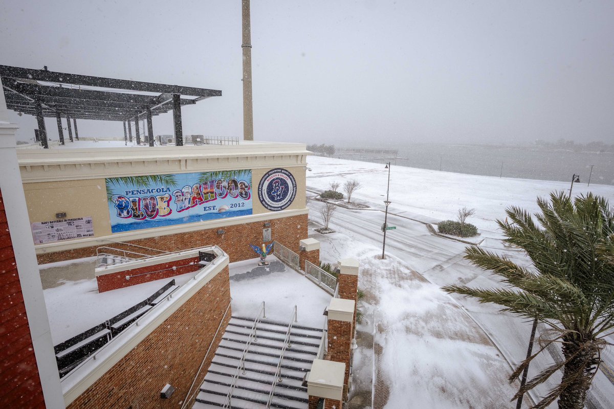 Pensacola Blue Wahoos tweet media