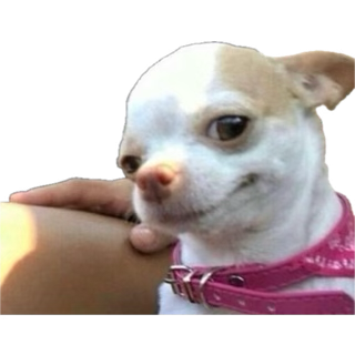 nexxtjenn's tweet image. We all girly pops now ✨