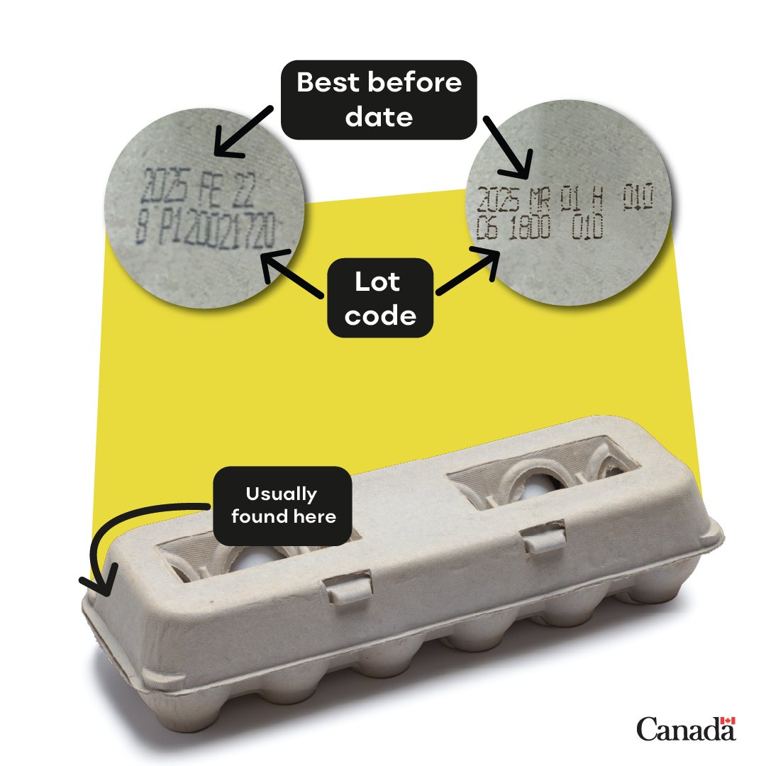 InspectionCan's tweet photo. 🚨 Shell egg recall 🥚

It’s important to check cartons and compare with ALL details in the recall notice: https://t.co/gBfa82ZXTx

🔴 If all details match, do NOT consume.

🟢 If details don’t fully match, your eggs are safe to use. https://t.co/0IMqL7FE6Q