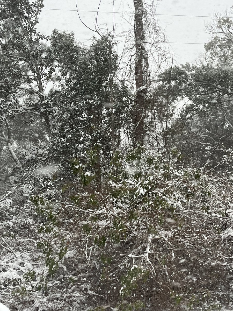 owenswde's tweet photo. Never would’ve imagined this in south Baldwin county #alwx https://t.co/LaTVrG4gMG