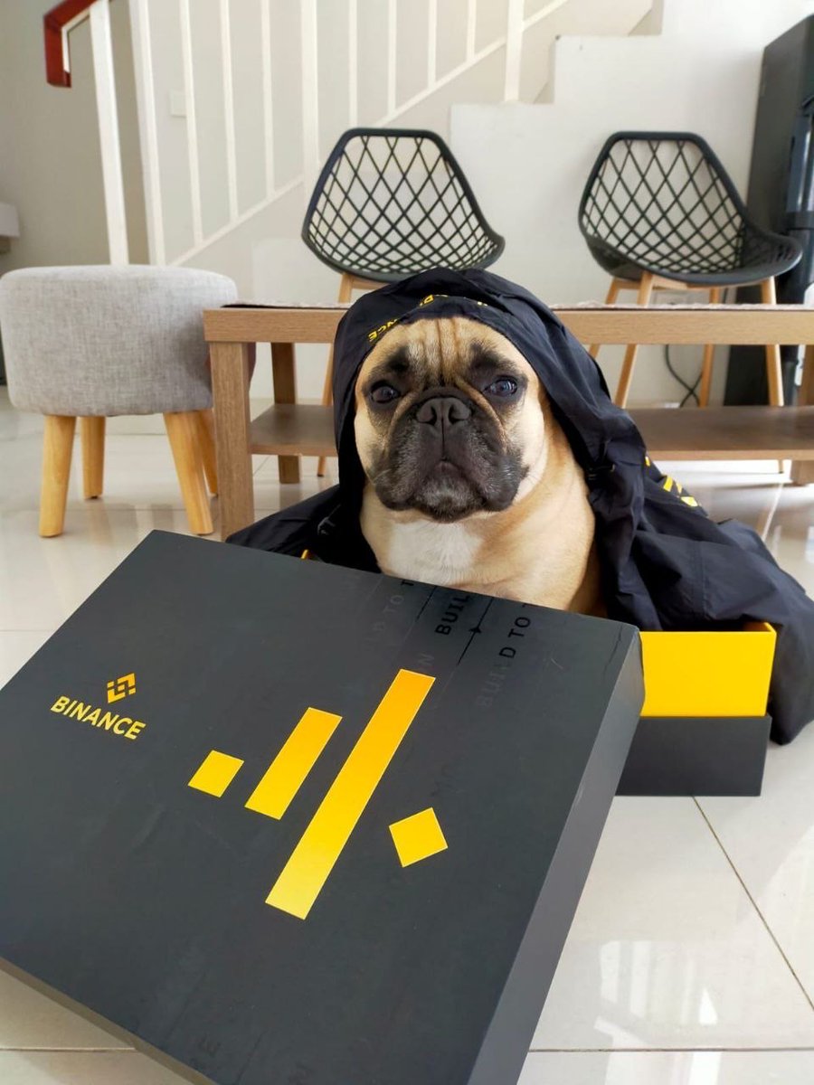 BinanceWallet's tweet photo. GM y'all, did anything happen while I was sleeping? https://t.co/7wEJyKtjle