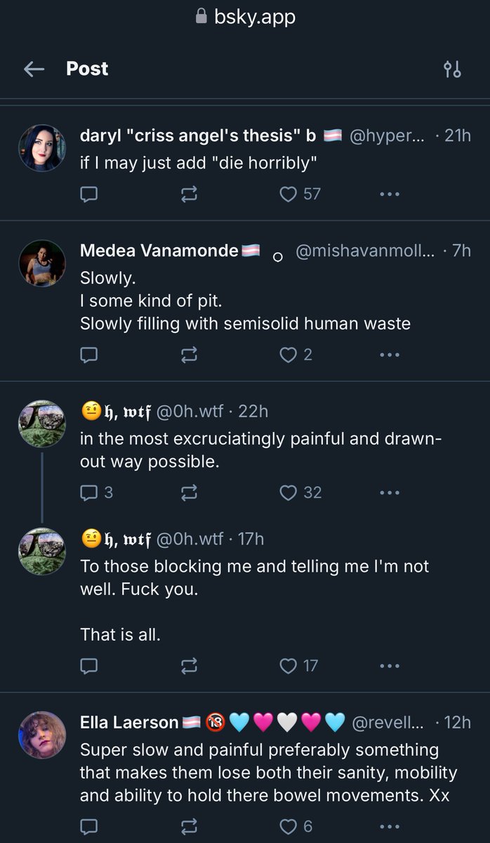 MrAndyNgo's tweet photo. Leftist @bluesky users are reacting to the new Trump administration by wishing violence, torture, suffering and death to everyone who voted for Donald Trump.

The platform bans people for “misgendering” and stating sex is binary, but left-wing death threats remain online. https://t.co/oHOe8okq7n