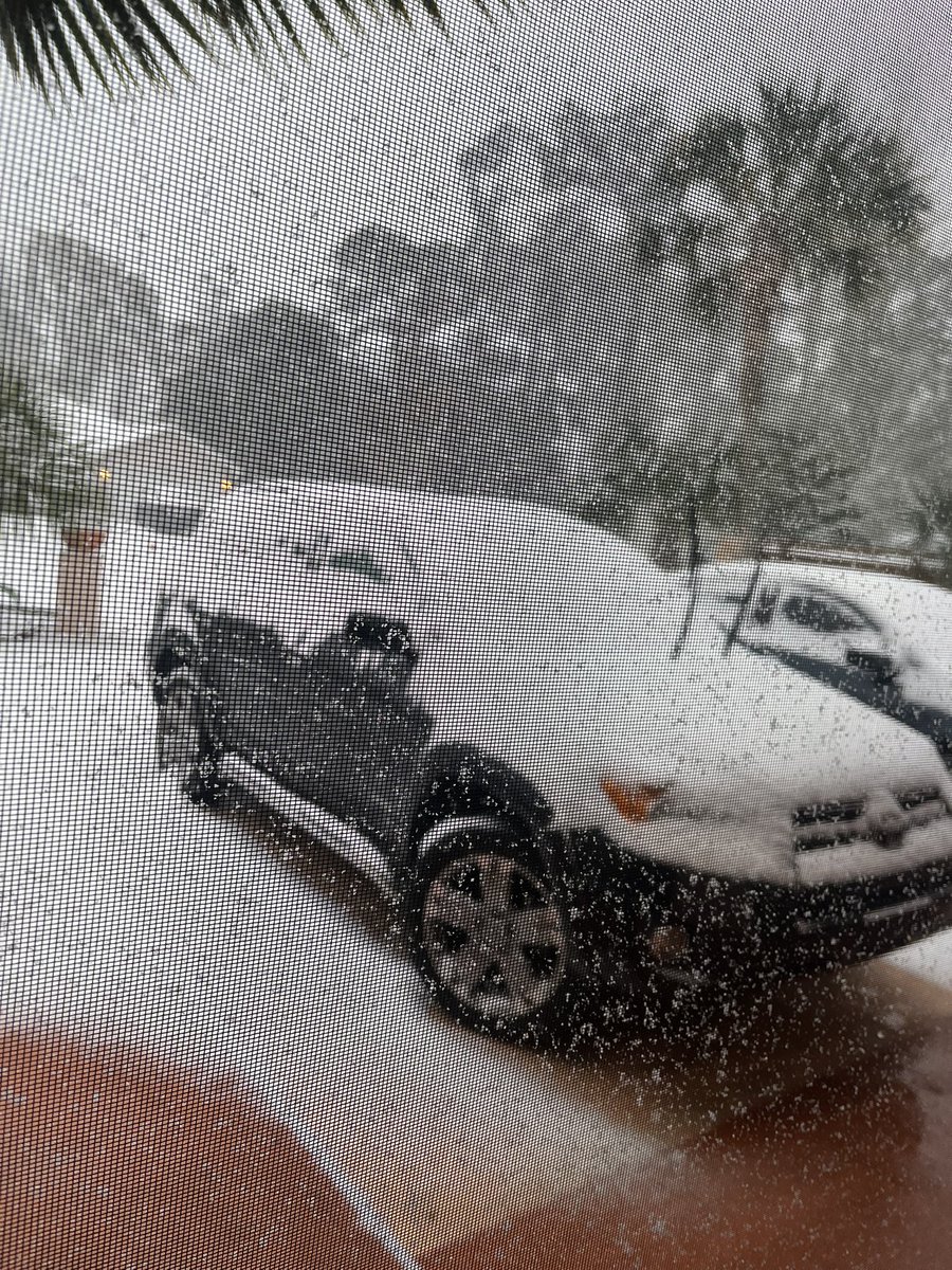 SailorXephyr's tweet photo. Florida fr be fucked up https://t.co/Arn3PpqYa2