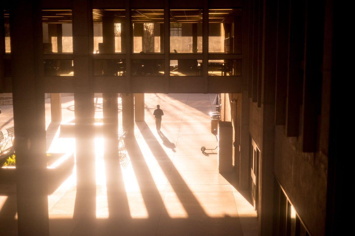 Jason Halley tweet media