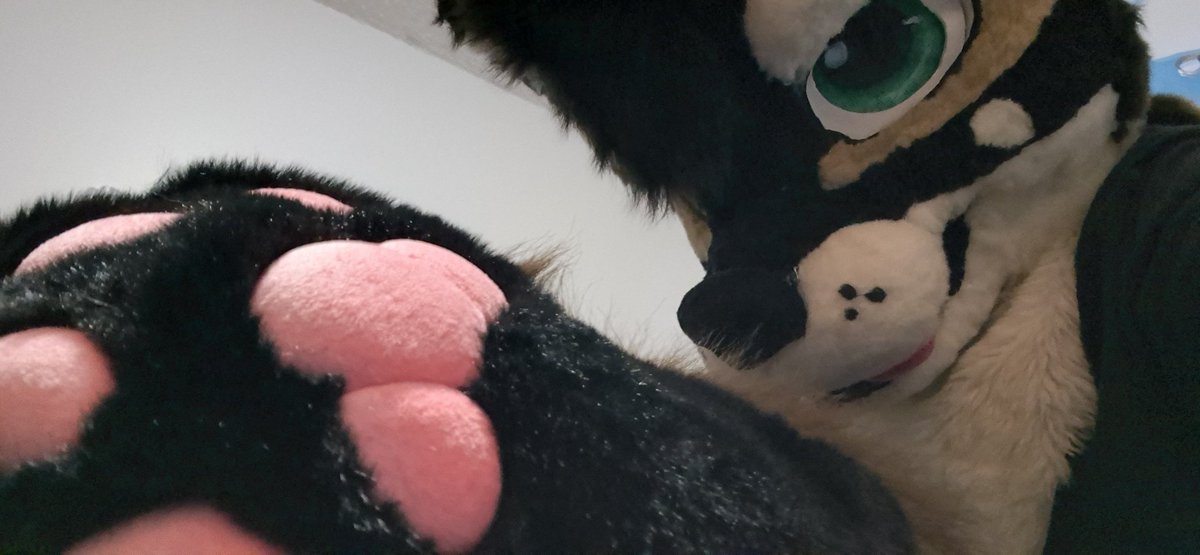 RiverTheHusky's tweet photo. Fursuit feetpaws are here!!
Now get to work >:3
#FursuitEveryday #Fursuit #macrofurry #macrofur #giantfurry #sizediffetence https://t.co/I50ndpuDyO
