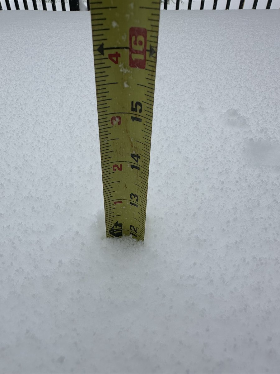USMCmj78's tweet photo. A foot of snow! @NWSNewOrleans @FOX8NOLA https://t.co/LVJKmUey1C