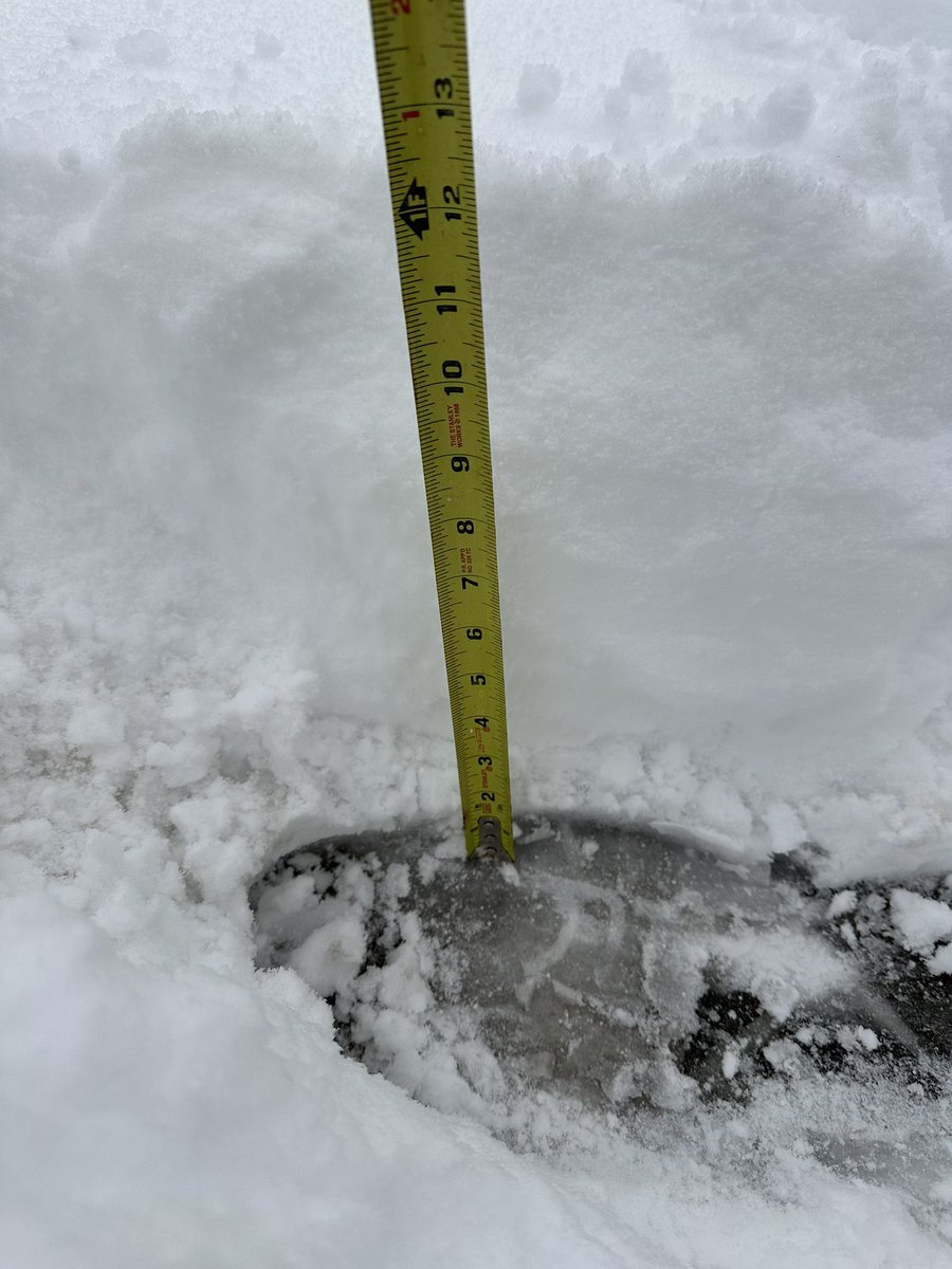 USMCmj78's tweet photo. A foot of snow! @NWSNewOrleans @FOX8NOLA https://t.co/LVJKmUey1C