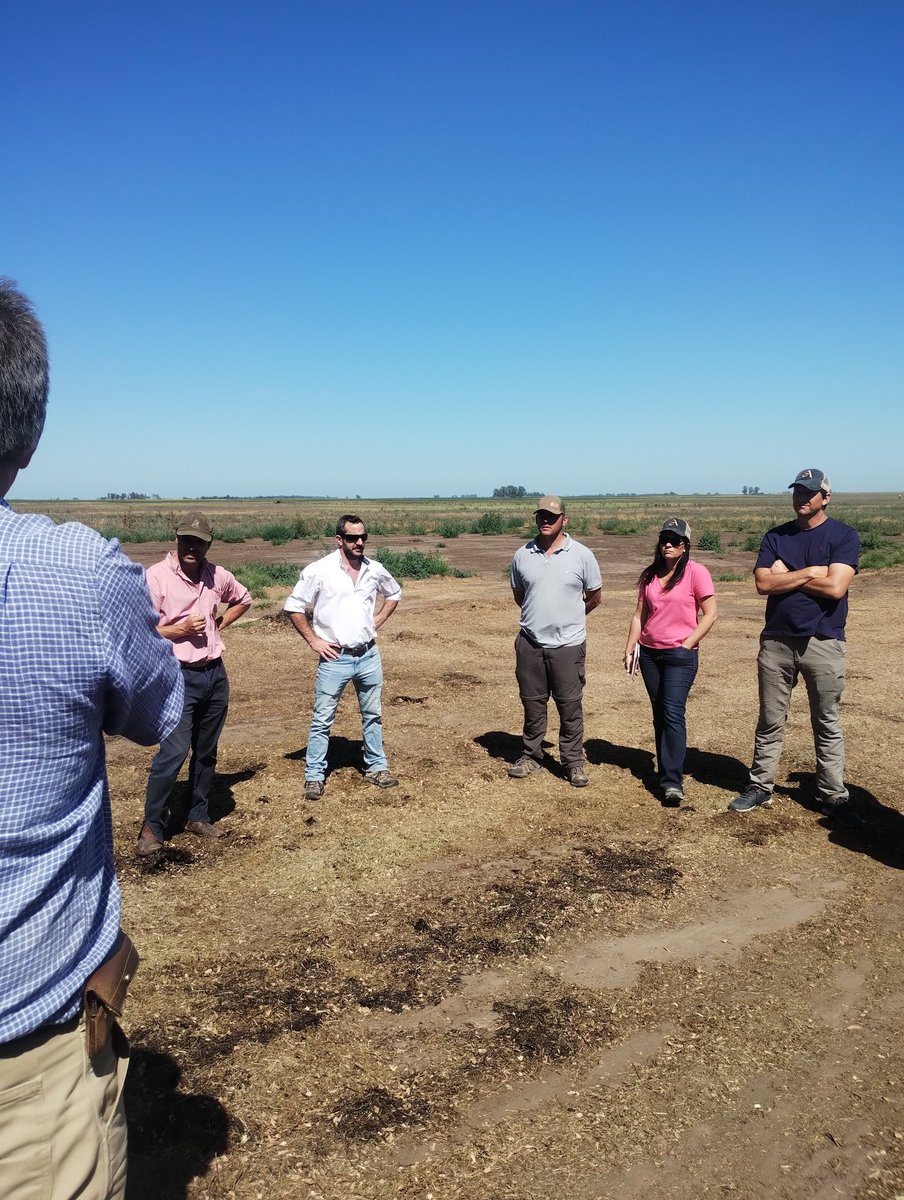 Arrancamos el año capacitando nos en silaje <a href="/aapresidtrenque/">Aapresid Trenque Lauquen</a> <a href="/aapresid/">Aapresid</a>  #juntossabemosmas <a href="/AGarciarena/">Andres Garciarena</a> <a href="/NicoBronzo/">Nicolas Bronzovich</a> <a href="/omarbartolome/">omar Bartolomé Peroggi</a> <a href="/OesterheldT/">Tomás Oesterheld 🇦🇷</a>