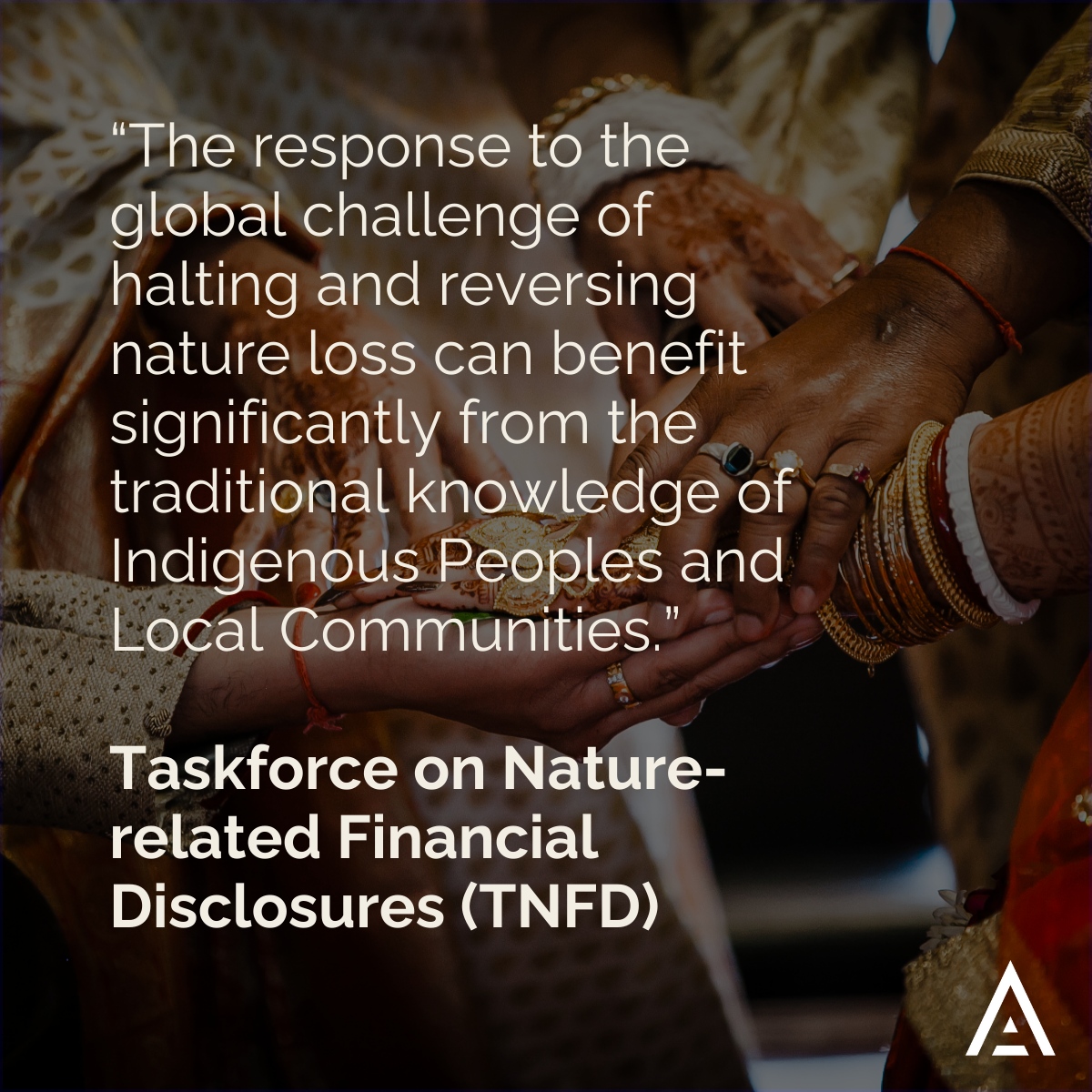 Altiorem tweet media