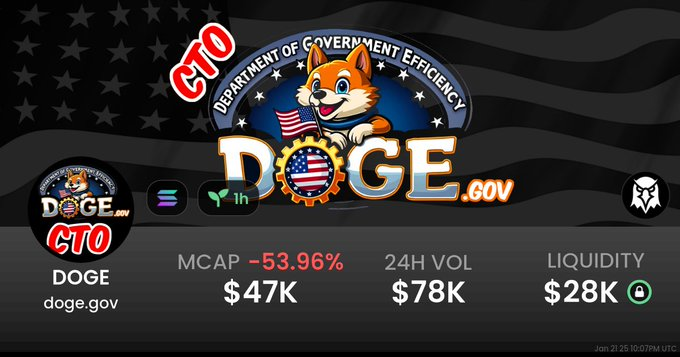 DOGE Sol Fans tweet media