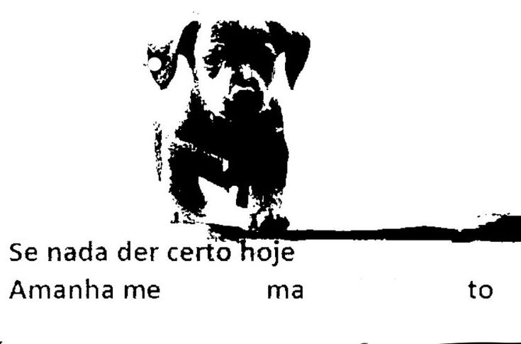 ykkmiguel2's tweet image. 