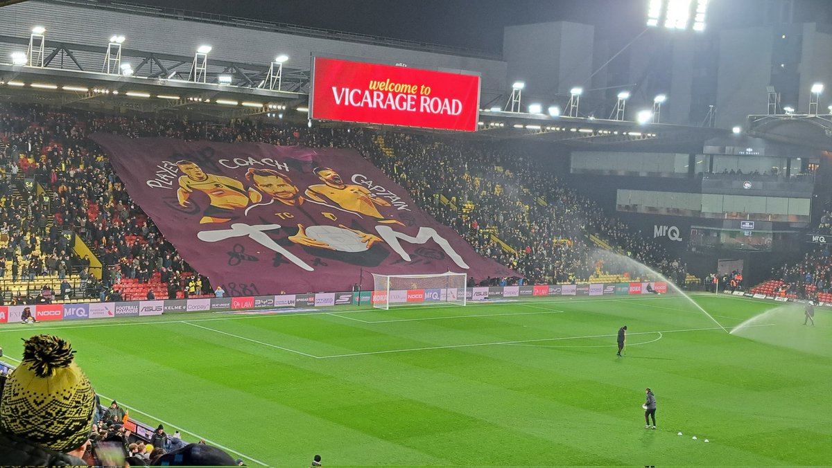 AshTLOZ's tweet photo. Tom Cleverley isn't perfect. He makes mistakes.

What he is, however, is the man to take us forward. If he can get this non-league standard team in play-off contention, imagine what he could do with some backing.

He's Watford. Not that rat Gino Pozzo. My manager #WatfordFC https://t.co/U29QVE2kru