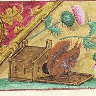 Kathleen Walker-Meikle tweet media