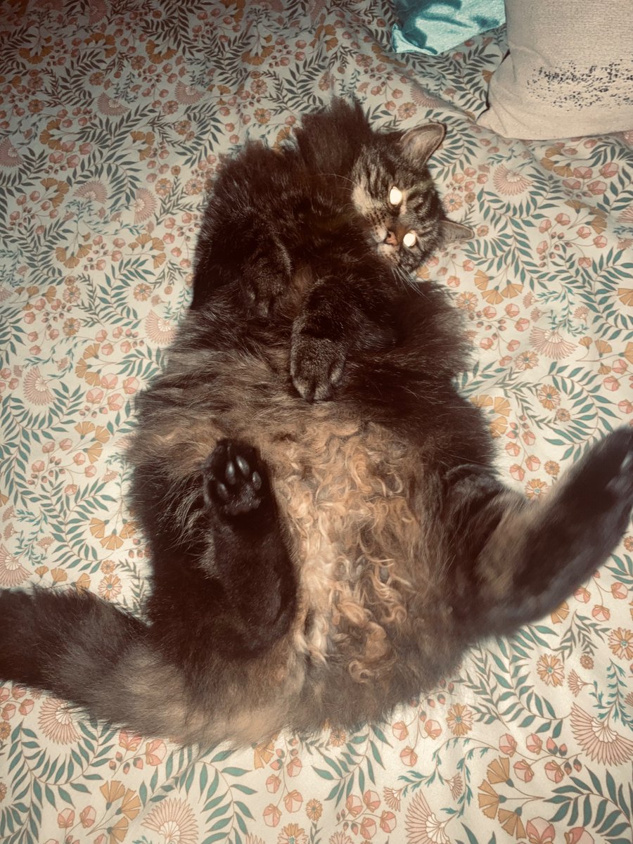 Kelly Jeffs tweet media