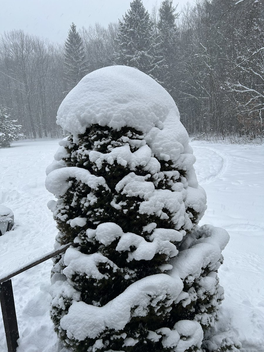 Eric Lundman tweet media