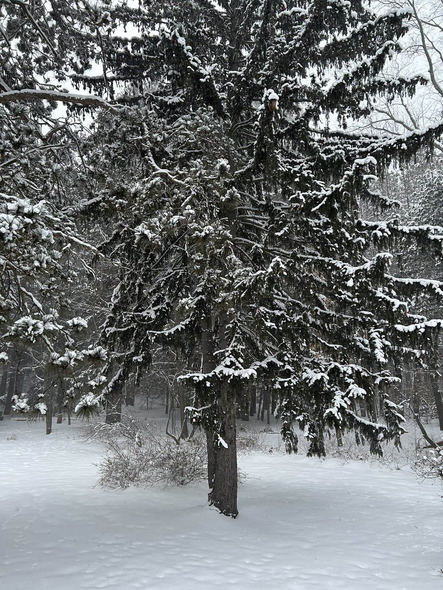 Eric Lundman tweet media