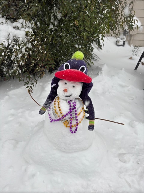 timjoynermatz's tweet photo. @ryanhallyall Mardi Gras snowman ⛄️ ❄️ https://t.co/ZvntBLtOE8