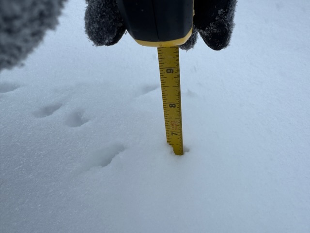 timjoynermatz's tweet photo. @ryanhallyall in Metairie Louisiana 
Snow drifts measured over 13 inches! https://t.co/tBCmiImZtU