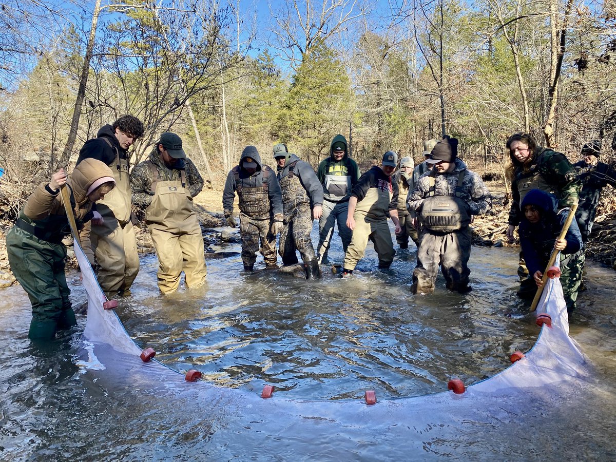 FisHecke's tweet photo. It was a cold, but successful day sampling aquatic macroinvertebrates and fish with my limnology class on Mill Creek. 

Pictured is a Fantail Darter. https://t.co/6O8ccsSZtf