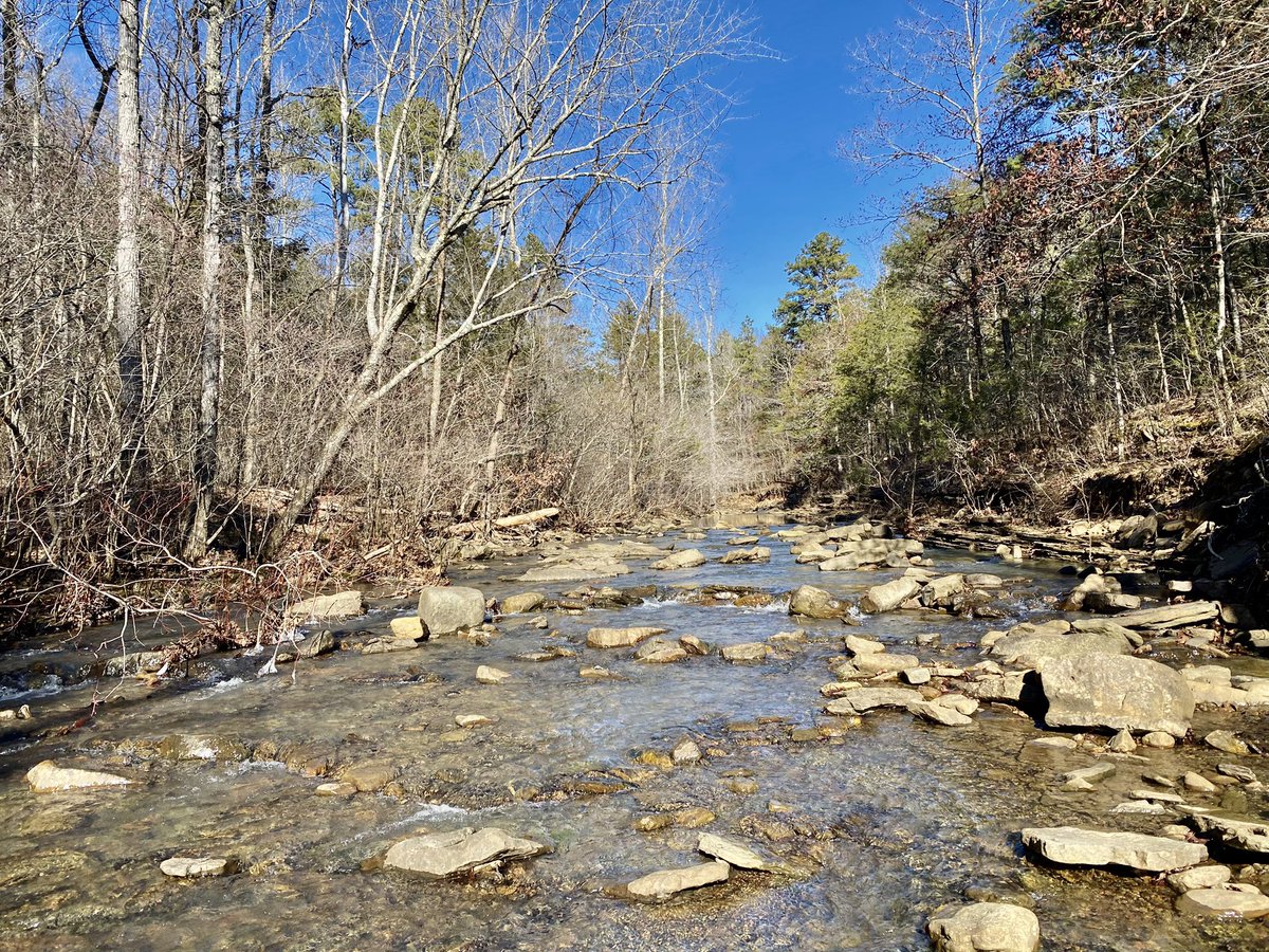 FisHecke's tweet photo. It was a cold, but successful day sampling aquatic macroinvertebrates and fish with my limnology class on Mill Creek. 

Pictured is a Fantail Darter. https://t.co/6O8ccsSZtf