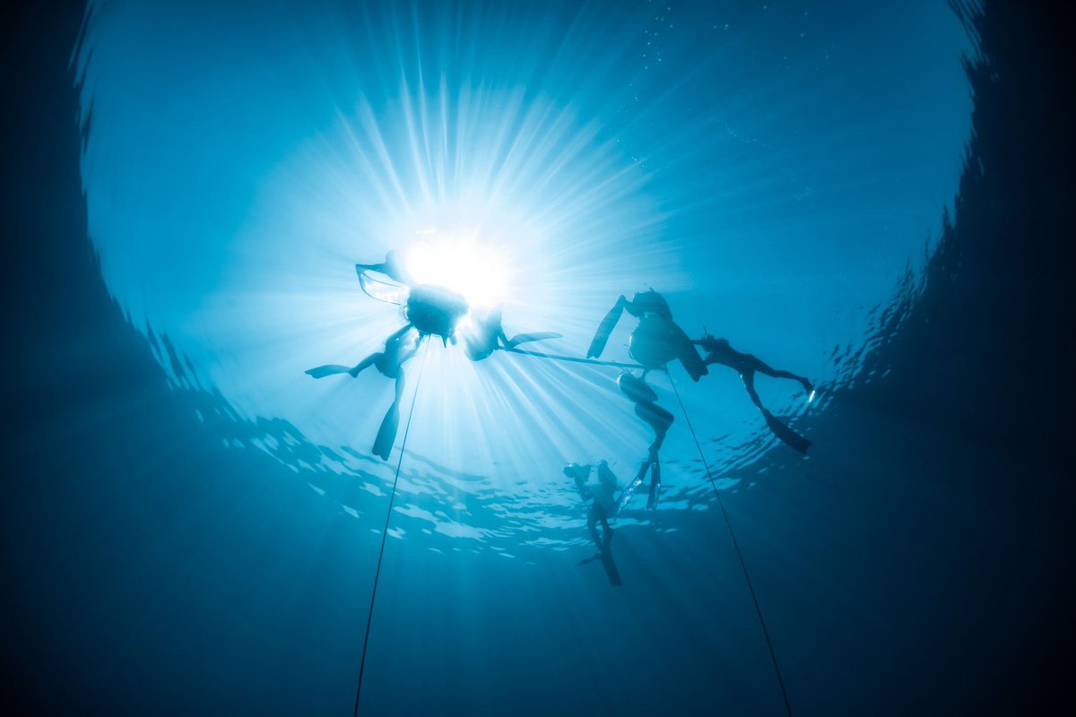 livefreediving's tweet photo. 🔗 Want to learn more about freediving? Check out these resources:
•Freediving physiology: https://t.co/kV9vvC7ehw
•The Mammalian Dive Reflex explained: https://t.co/wsBGE53kup
•Freediving safety tips: https://t.co/0b2I8xPEQj https://t.co/QoGFm9bYIs
