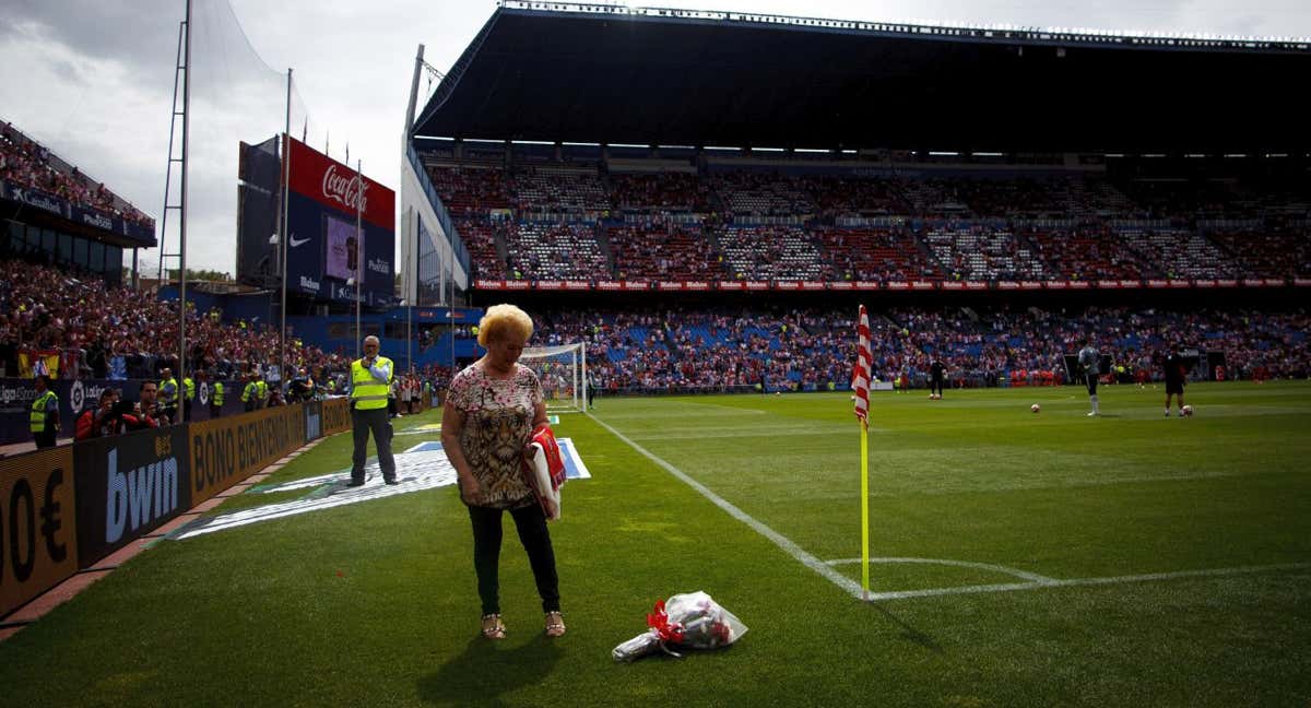 arii.002 tweet media