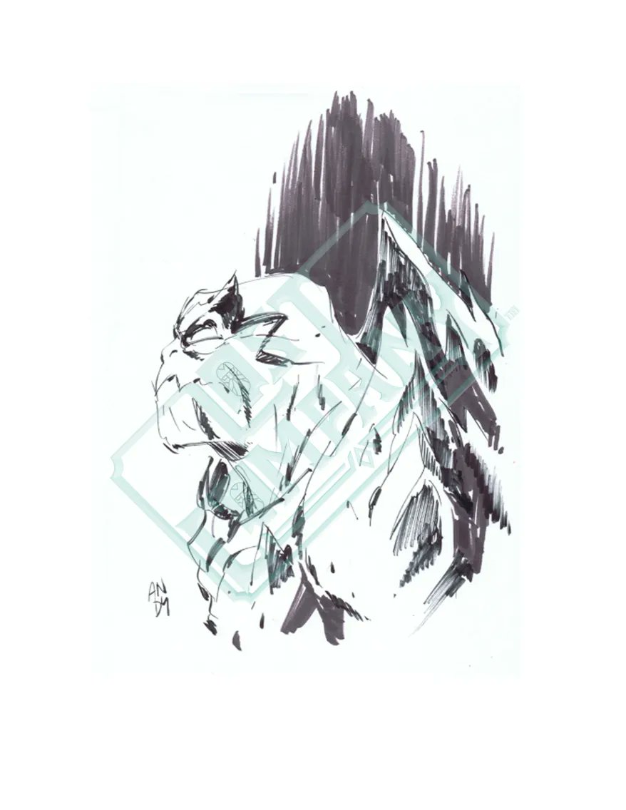 Lost Company Official tweet media