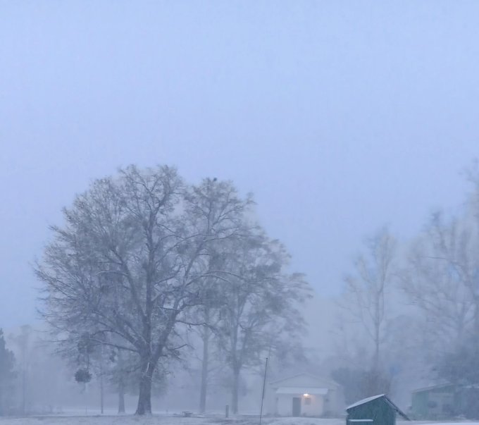 Watch Grandma Alice Marchesi 🪅 BDAY 6/26 🪅's leaked NSFW photo on TwXstars