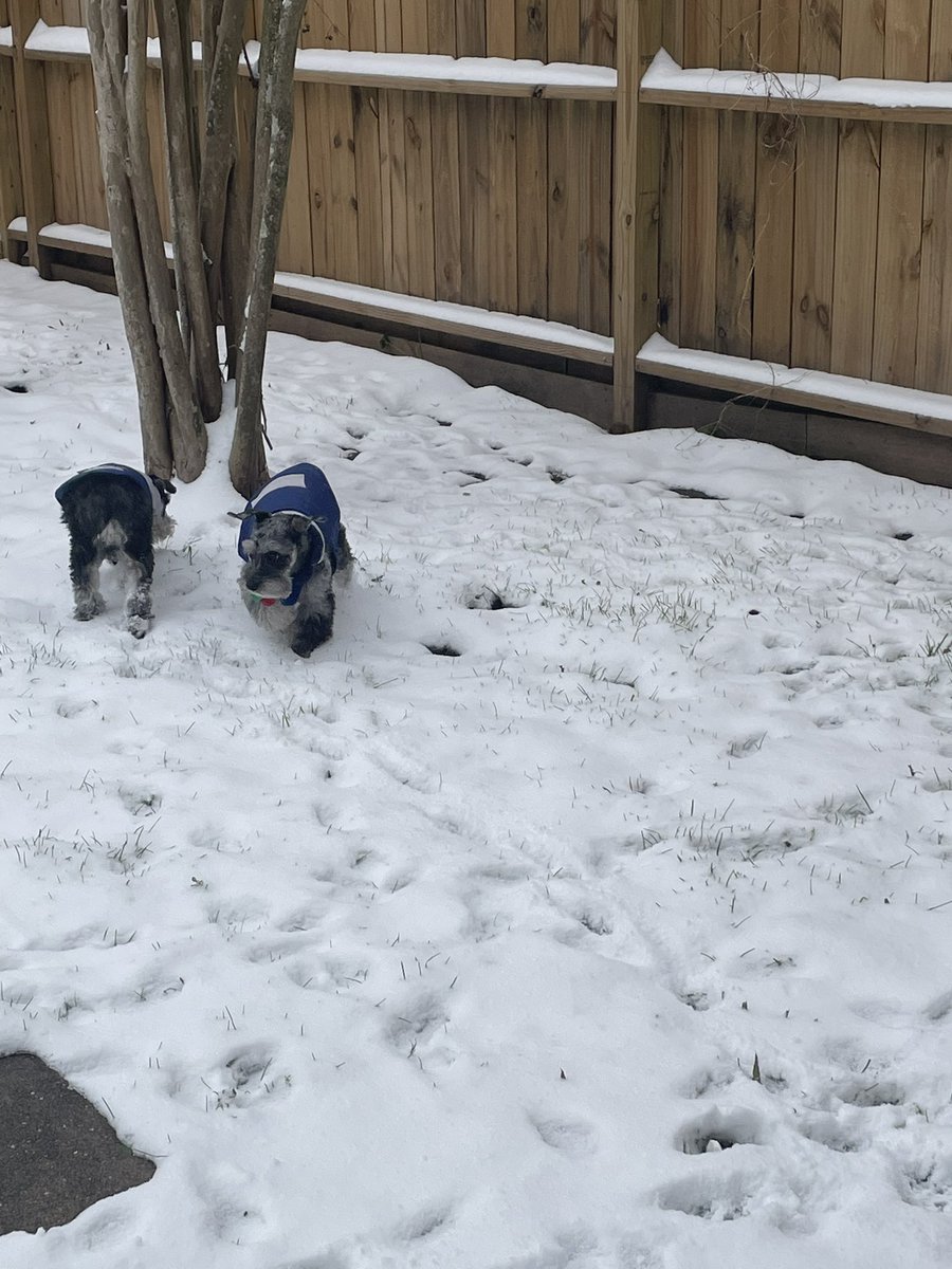 SWHS Speech & Debate tweet media