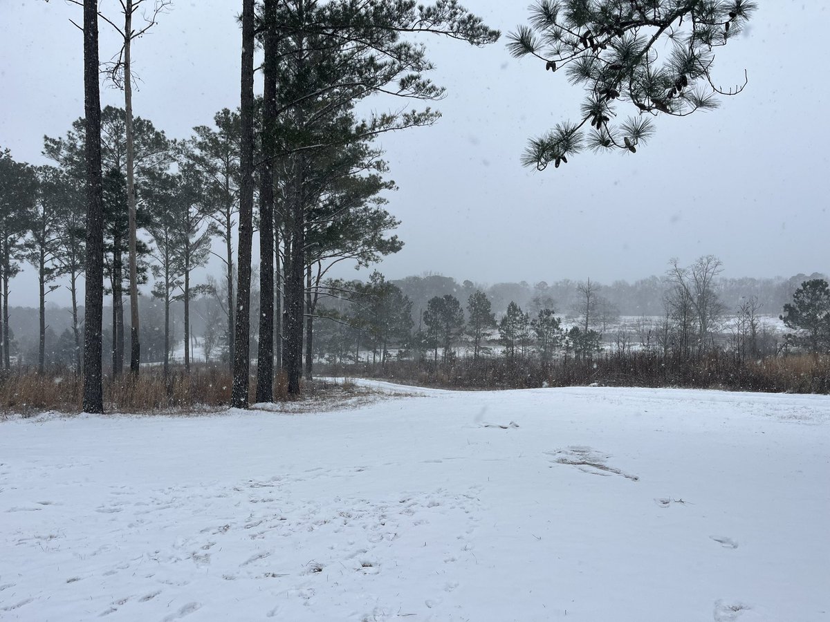 BiomedicalEhs's tweet photo. Snow day 😎 https://t.co/Rxk7gDGgsv