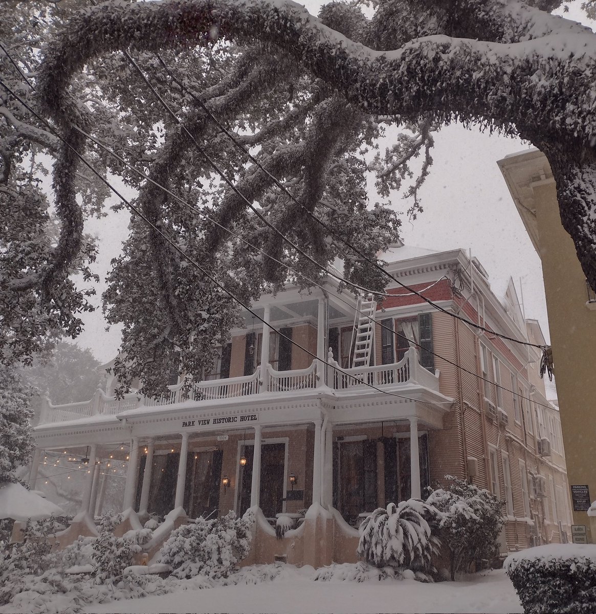 nolacampanella's tweet photo. Once-in-a-lifetime
scenes from New Orleans... https://t.co/OTuTUZnY36