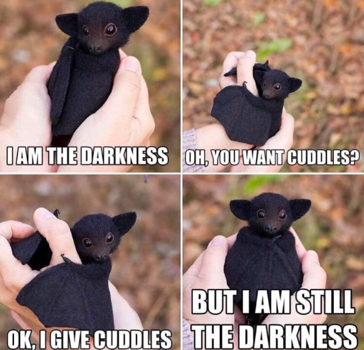 Respectful Memes (@respectfulmemes) on Twitter photo 